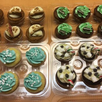 Cupcakes (6)